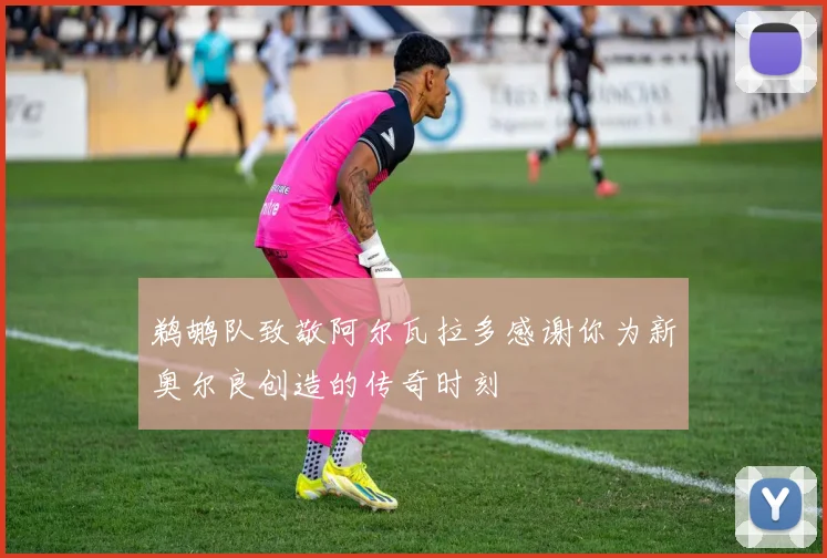 鹈鹕队致敬阿尔瓦拉多感谢你为新奥尔良创造的传奇时刻