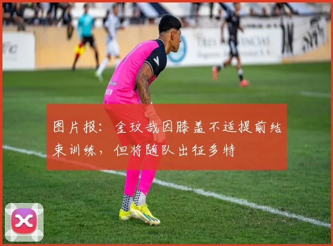 图片报：金玟哉因膝盖不适提前结束训练，但将随队出征多特